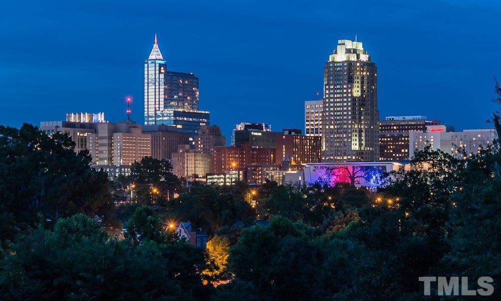 241 New Bern Place, Unit 301 Raleigh, NC 27601 - Photo 23 of 25 a view of city