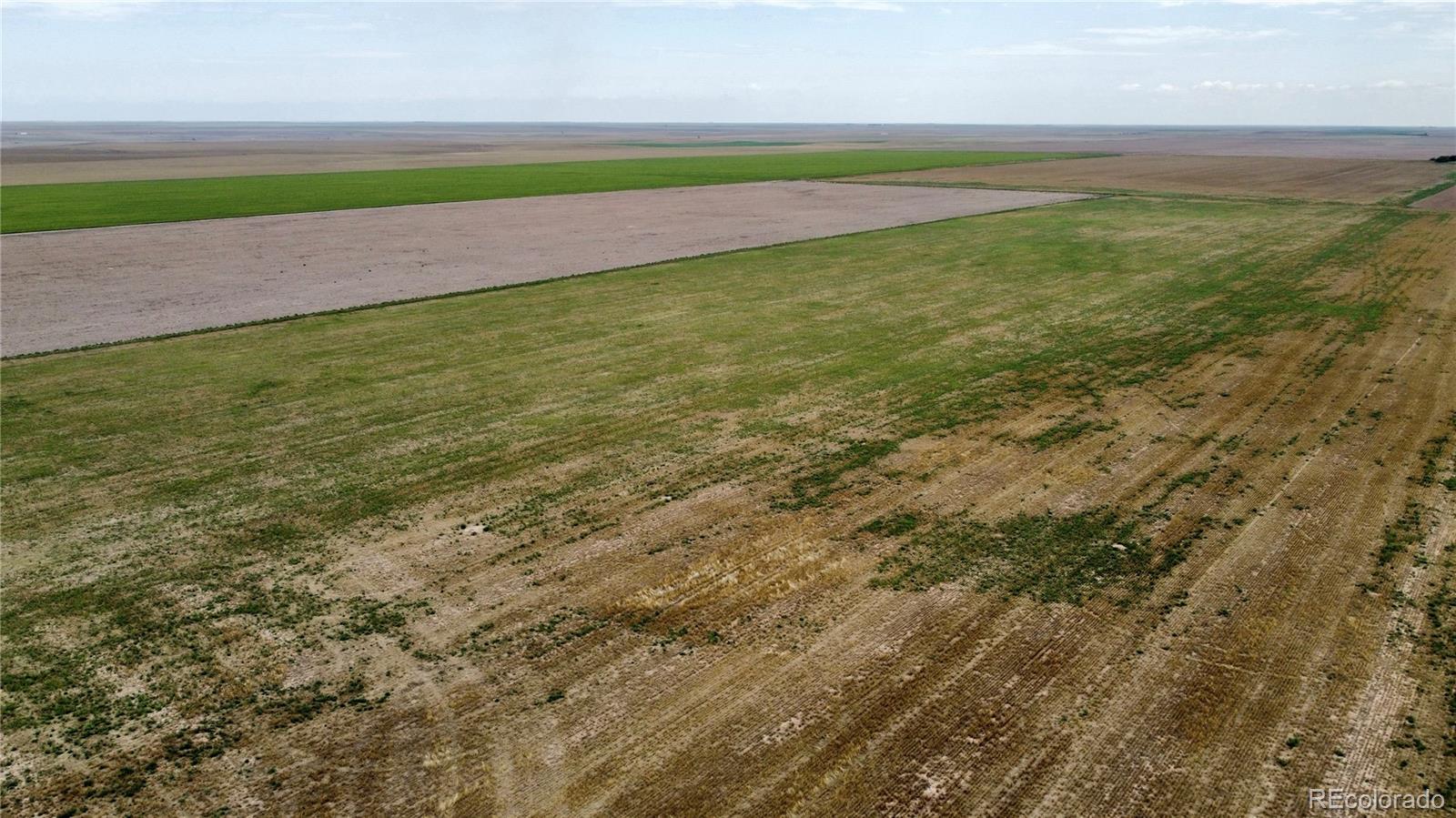 35 County Road Genoa, CO 80818 - Photo 11 of 17 Gallery Image 11