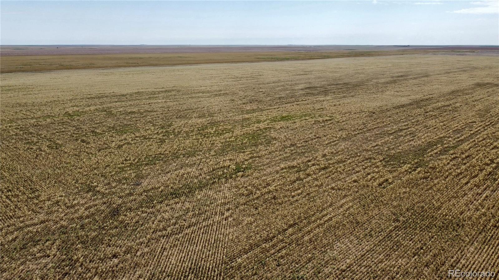 35 County Road Genoa, CO 80818 - Photo 17 of 17 Gallery Image 17
