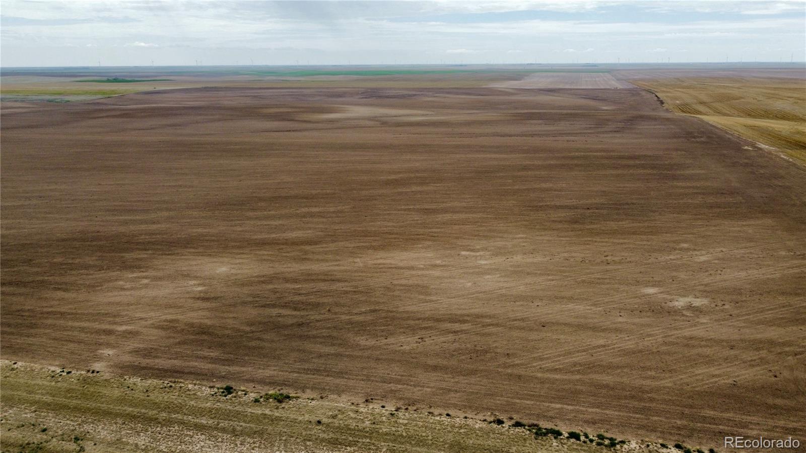 35 County Road Genoa, CO 80818 - Photo 3 of 17 Gallery Image 3