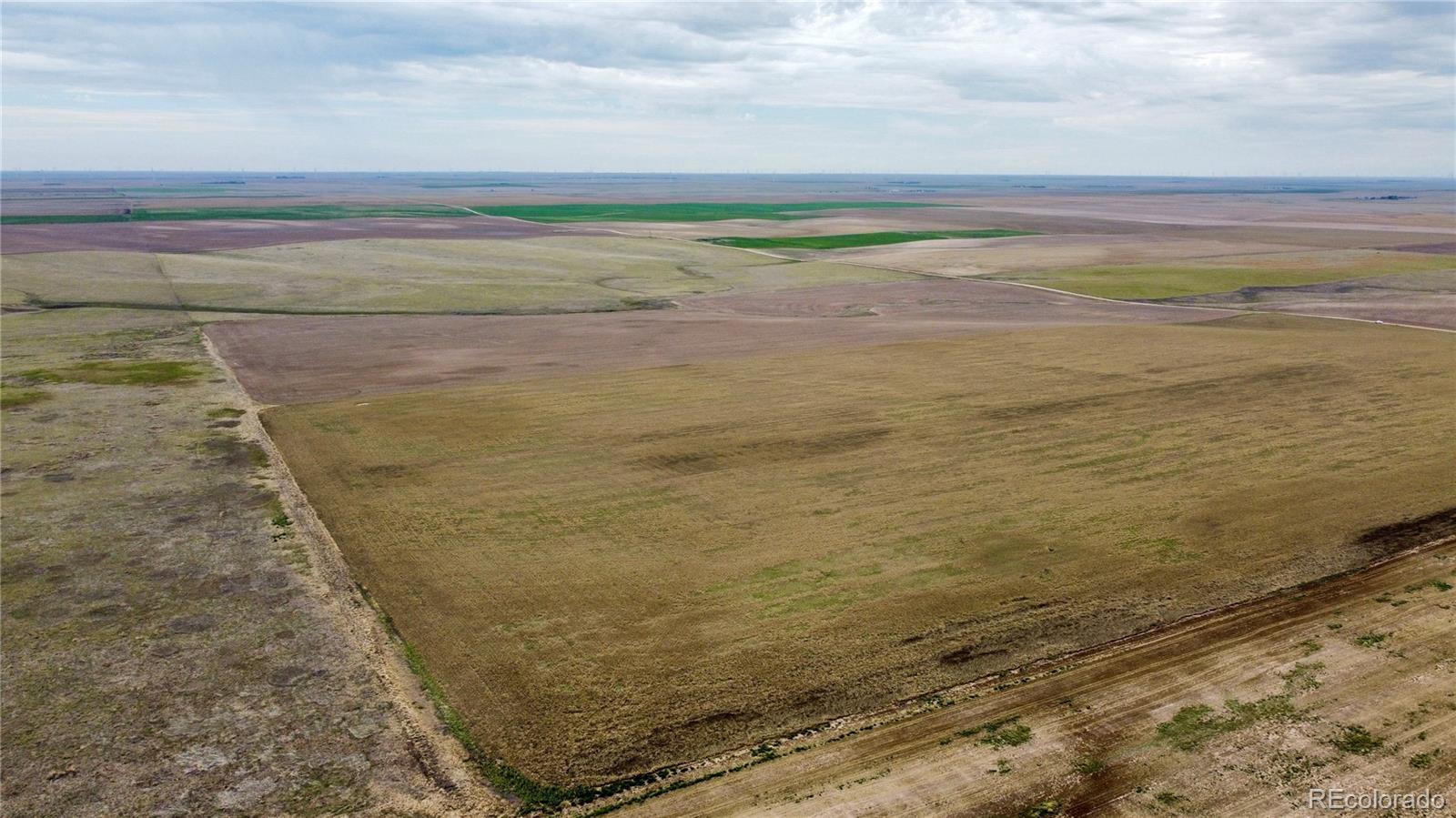 35 County Road Genoa, CO 80818 - Photo 5 of 17 Gallery Image 5