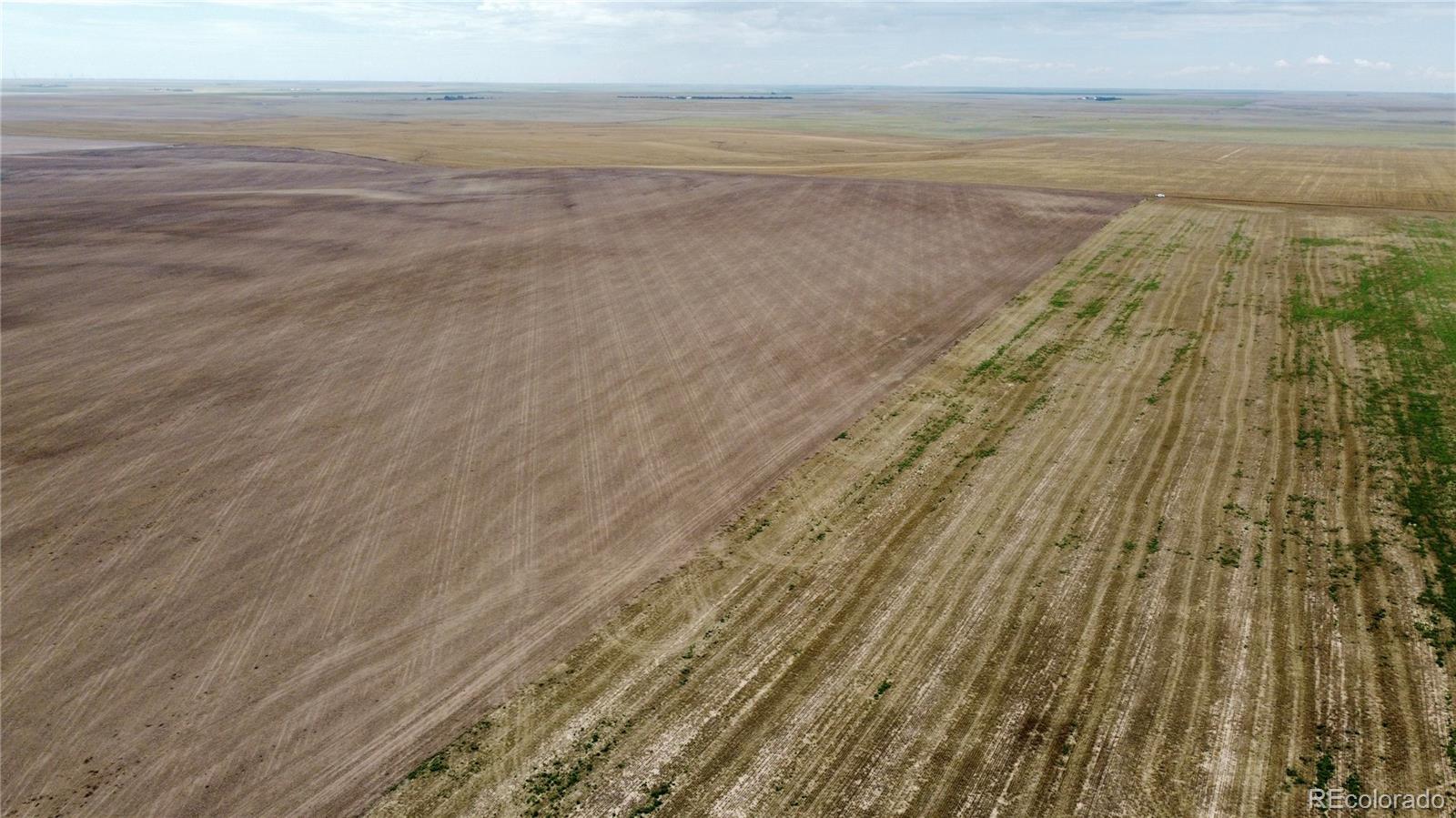 35 County Road Genoa, CO 80818 - Photo 7 of 17 Gallery Image 7