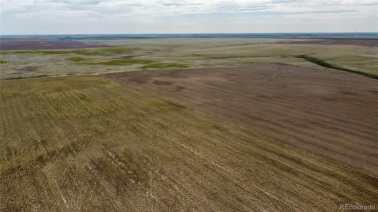 35 County Road Genoa, CO 80818 - Photo 10 of 17 Gallery Image 10