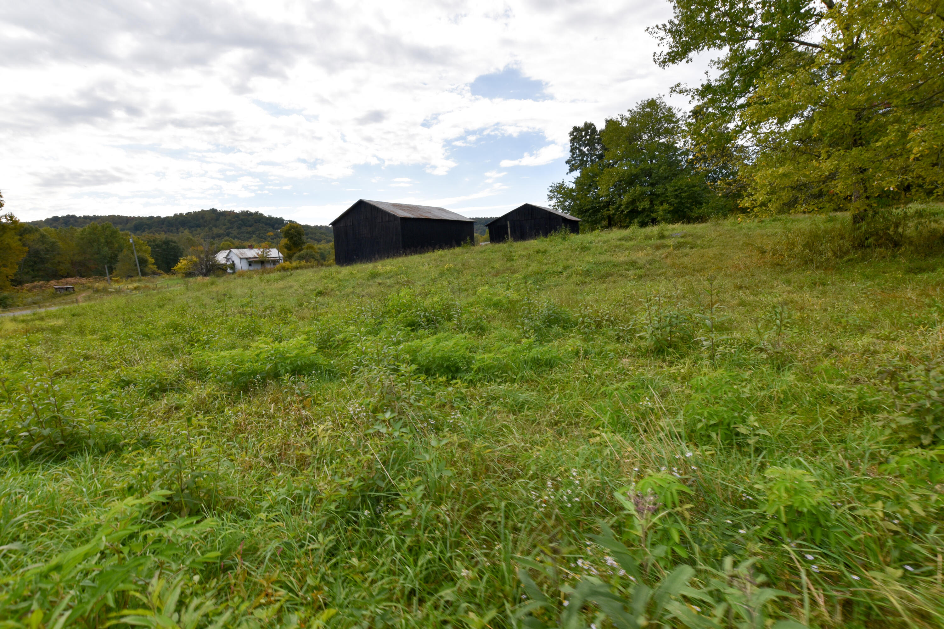2390 Beechy Creek Road Wallingford, KY 41093 - Photo 80 of 89 DSC_0142
