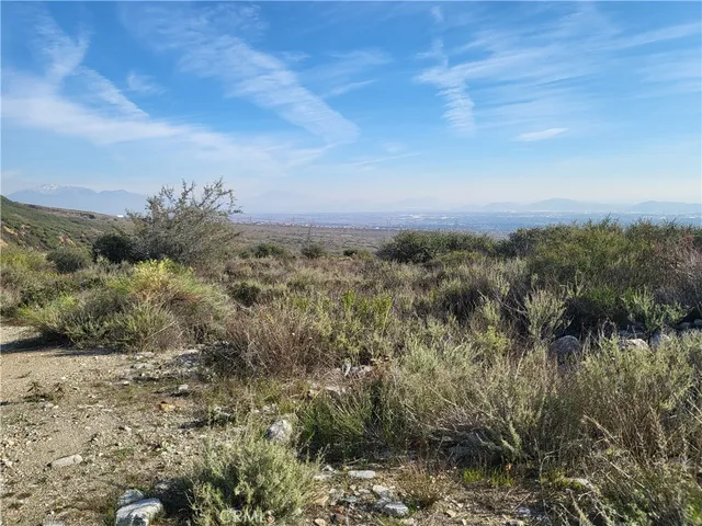 a view of a bunch of trees in a field