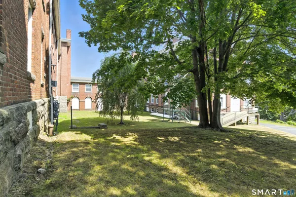 a view of a yard with plants and large trees