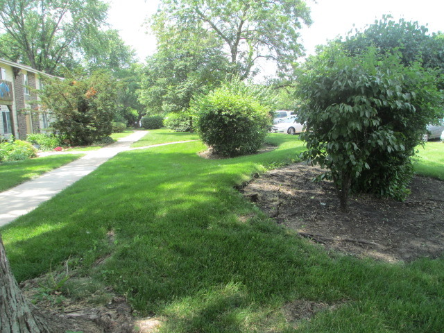 2600 Light Road, Unit 202 Oswego, IL 60543 - Photo 2 of 12 a view of a yard with a tree