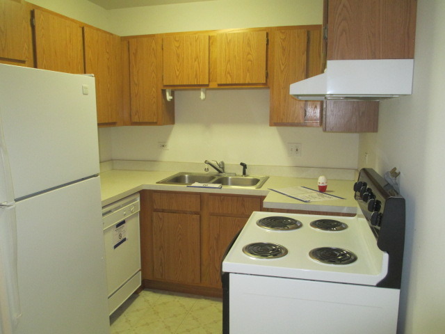 2600 Light Road, Unit 202 Oswego, IL 60543 - Photo 6 of 12 a kitchen with a sink a stove and a refrigerator