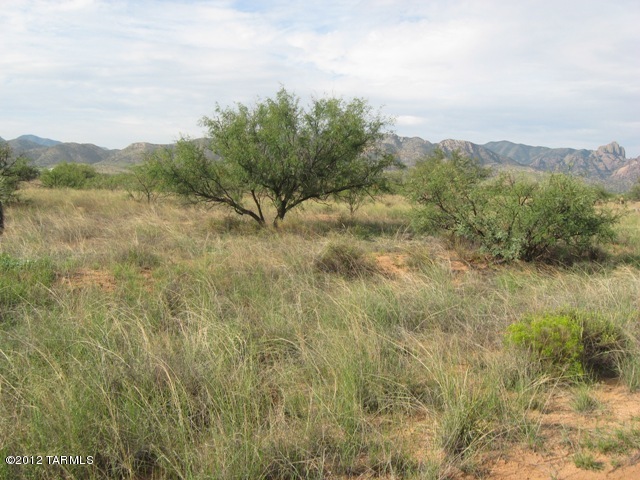 3-lots South Palm Road Cochise, AZ 85606 - Photo 5 of 8 Gallery Image 5