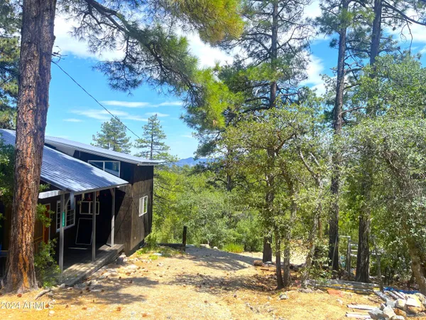 a view of a house with a tree in the yard