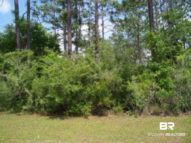 0 Riggs Street Elberta, AL 36530 - Photo 1 of 1