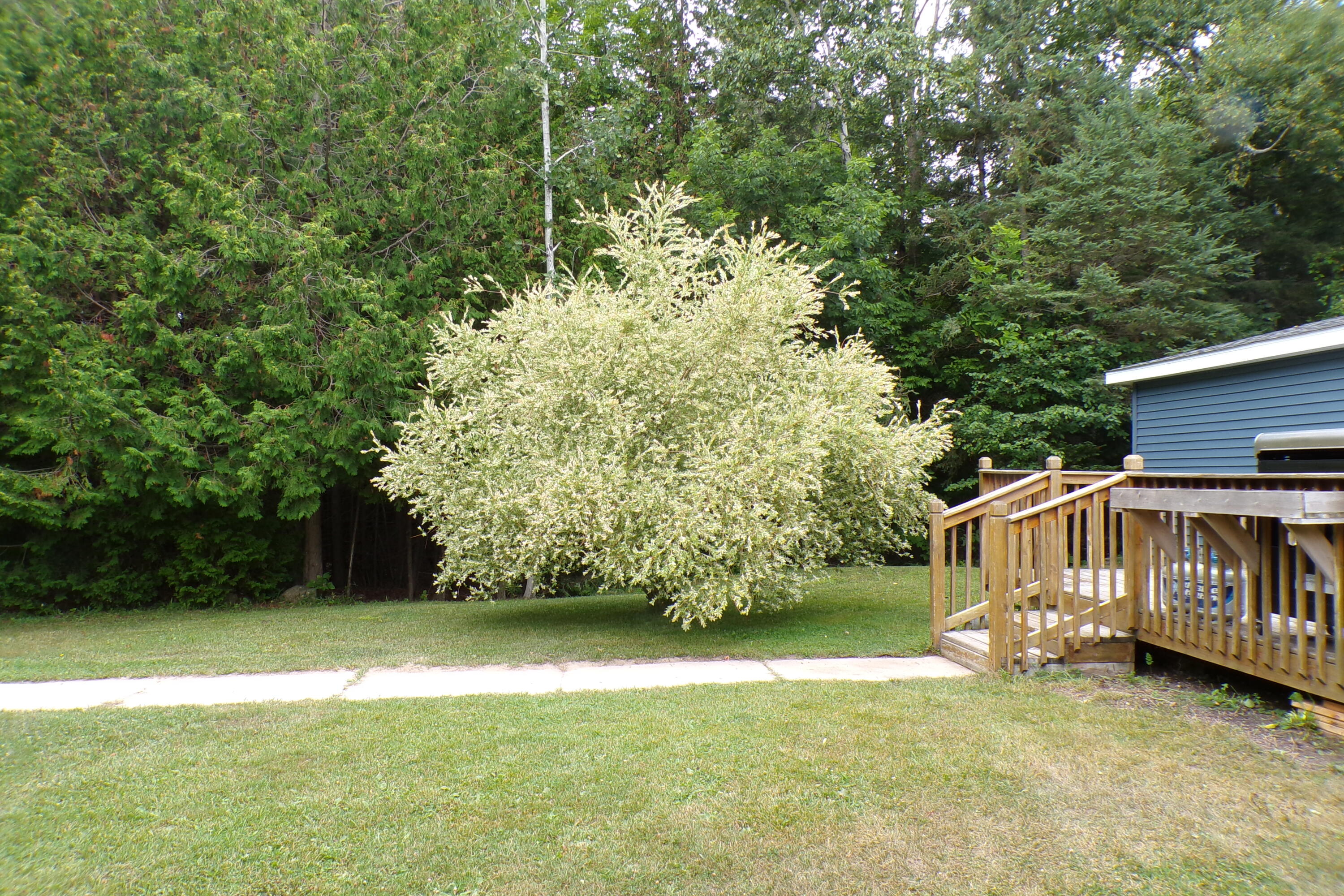 W1804 Fenlon Road St. Ignace, MI 49781 - Photo 24 of 26 Gallery Image 24