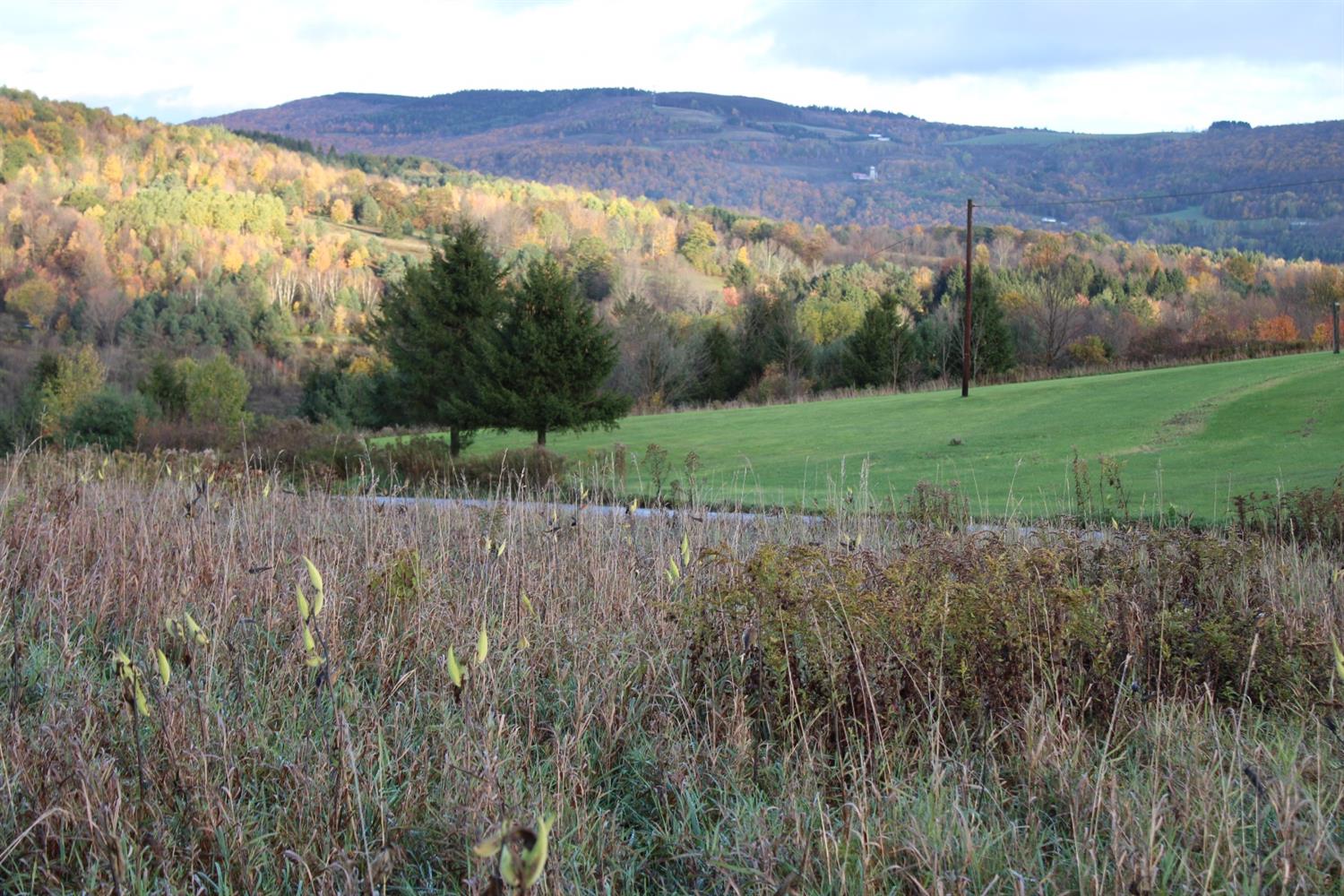 871 West Hill Road Worcester, NY 12197 - Photo 1 of 1