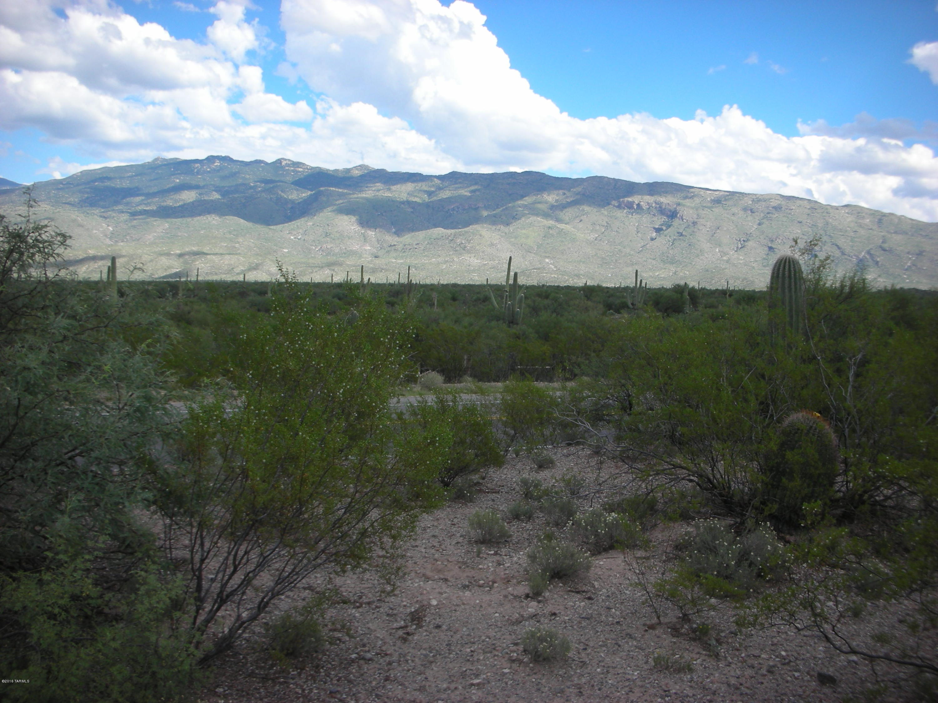 South Freeman Road Tucson, AZ 85748 - Photo 1 of 12