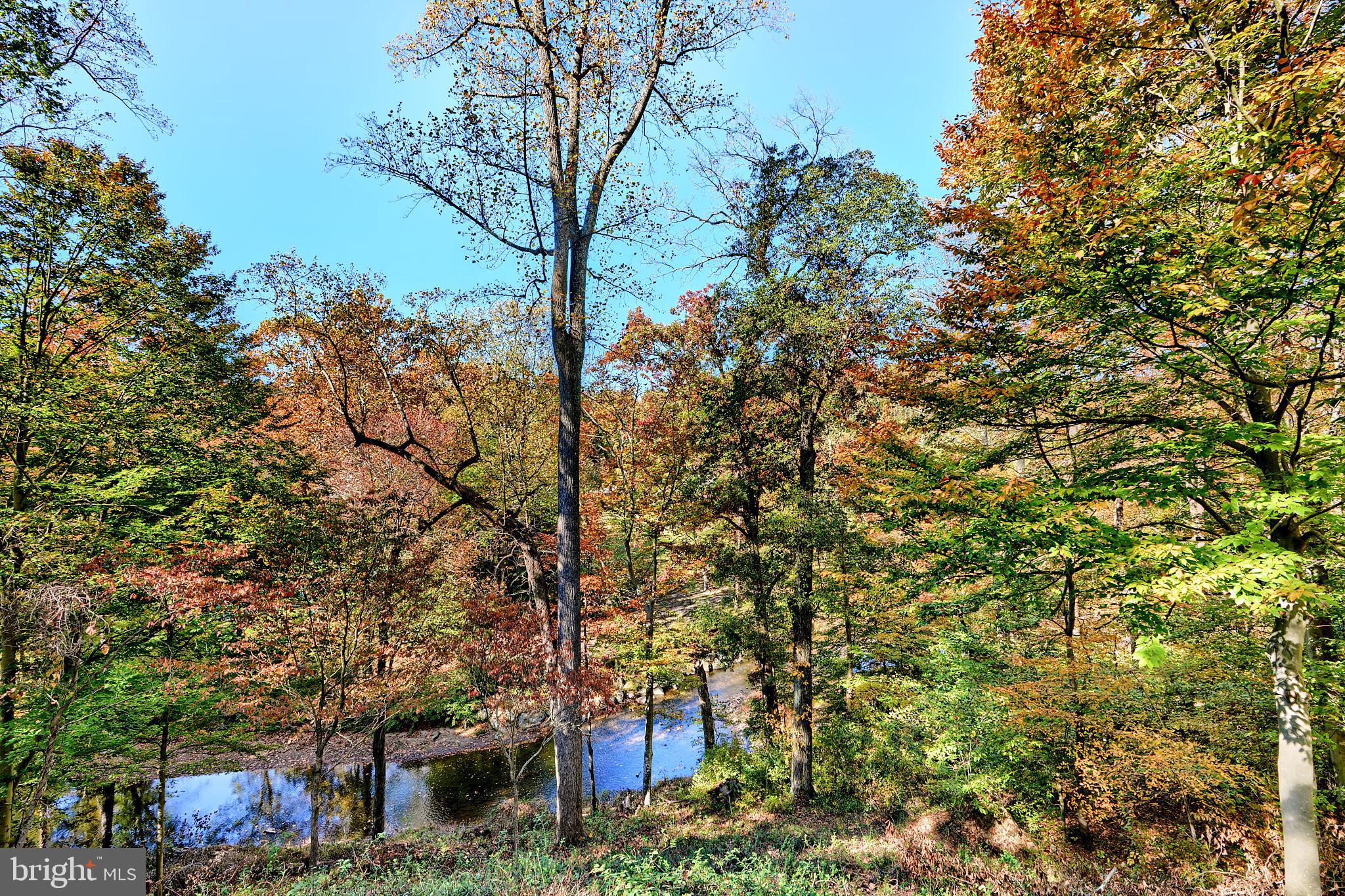 728 West Ring Factory Road Bel Air, MD 21014 - Photo 17 of 81 Gallery Image 17