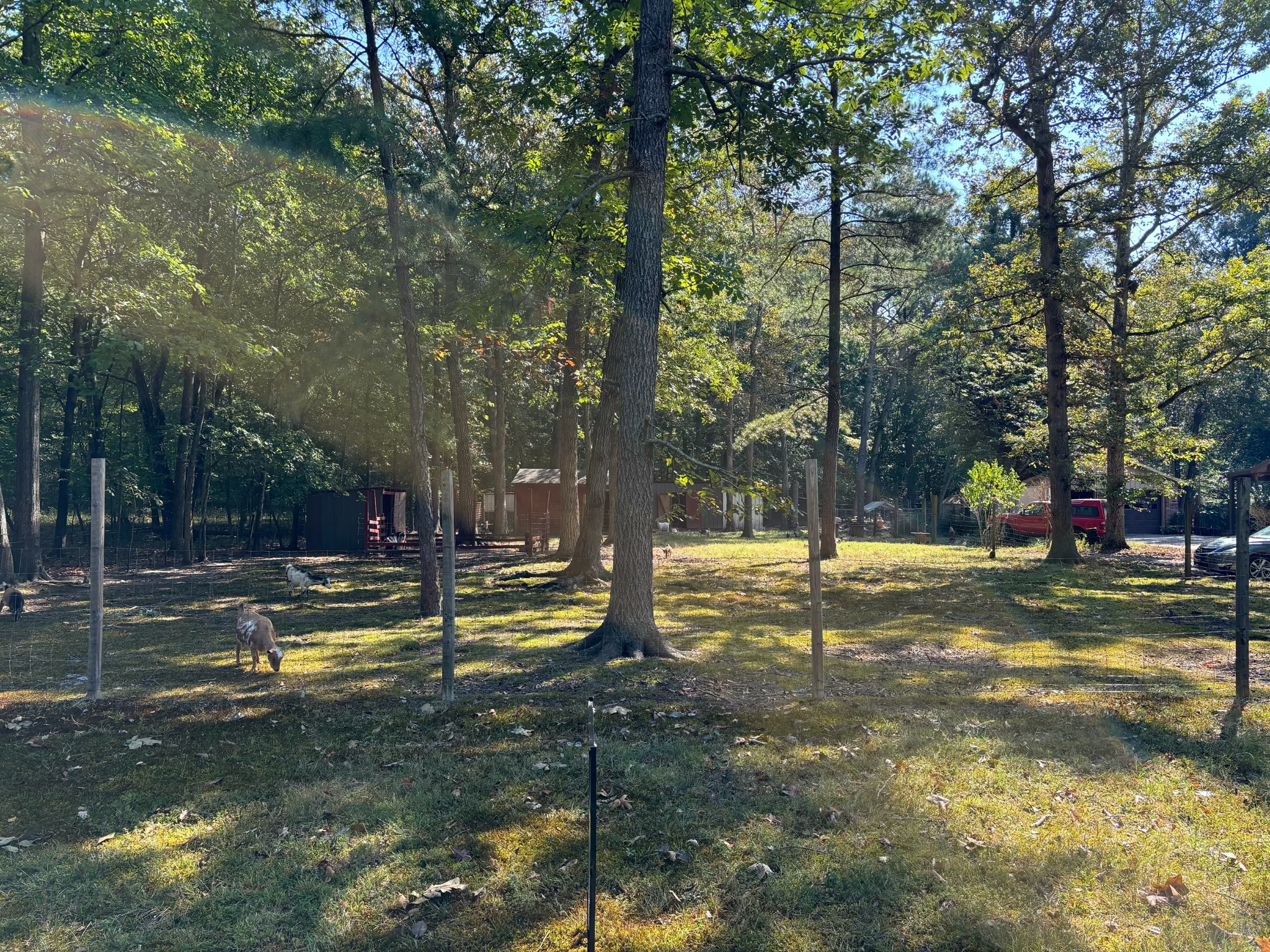 0 Willow Oak Road Manchester, TN 37355 - Photo 1 of 15 Gallery Image 1