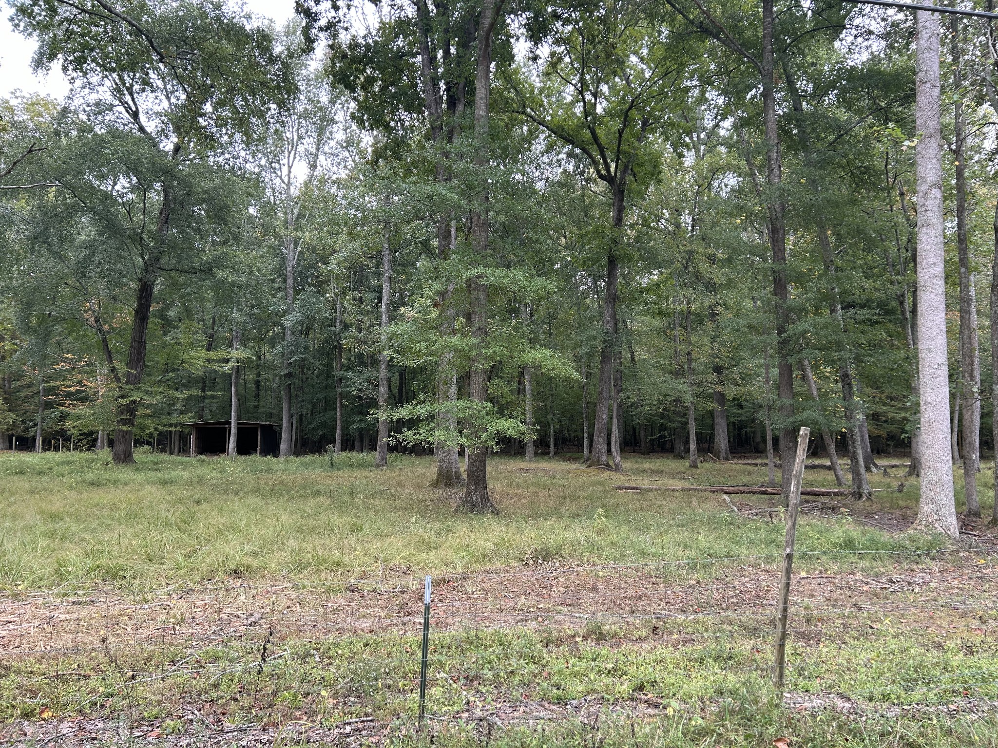 0 Willow Oak Road Manchester, TN 37355 - Photo 11 of 15 Gallery Image 11