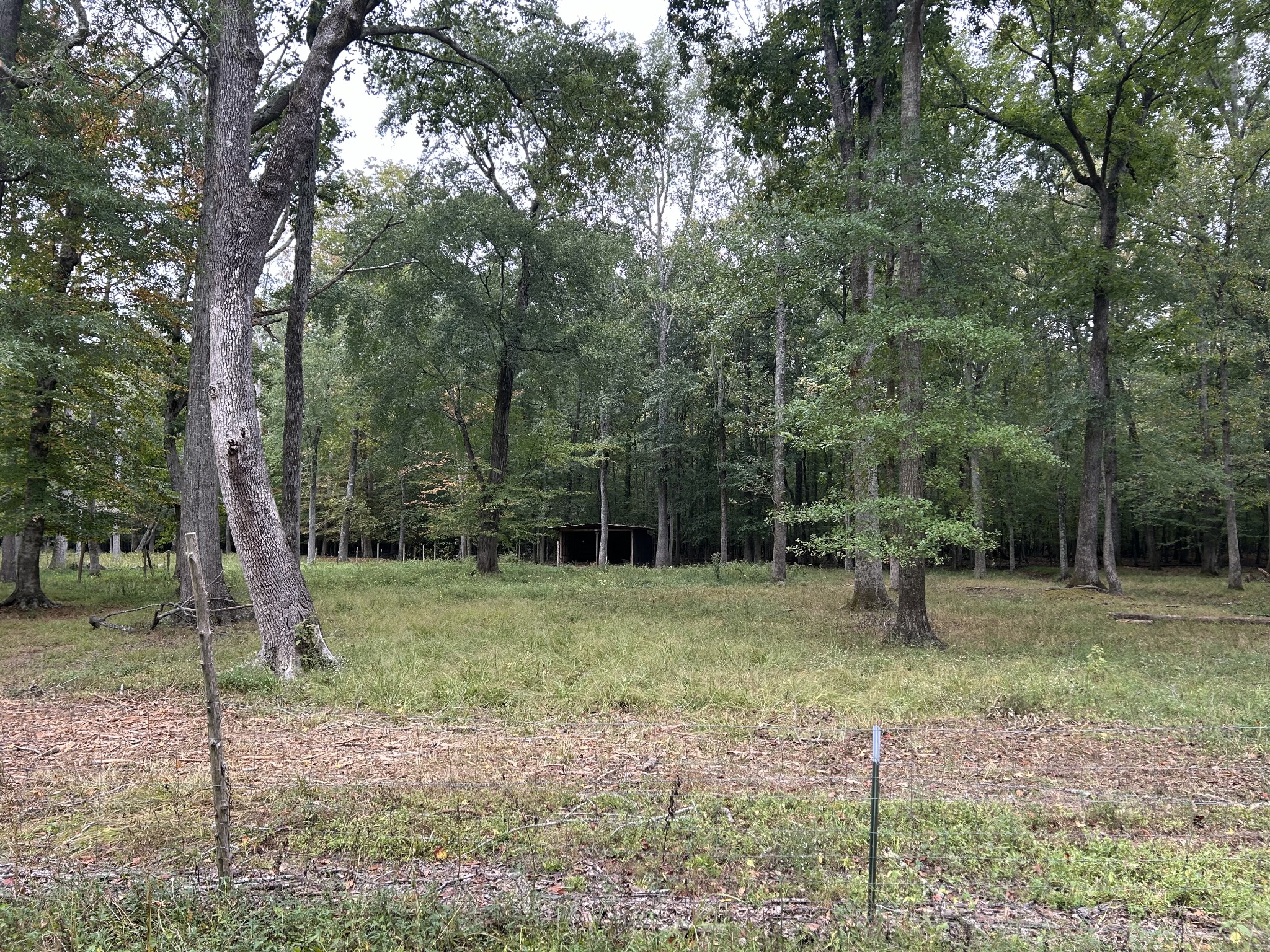 0 Willow Oak Road Manchester, TN 37355 - Photo 12 of 15 Gallery Image 12