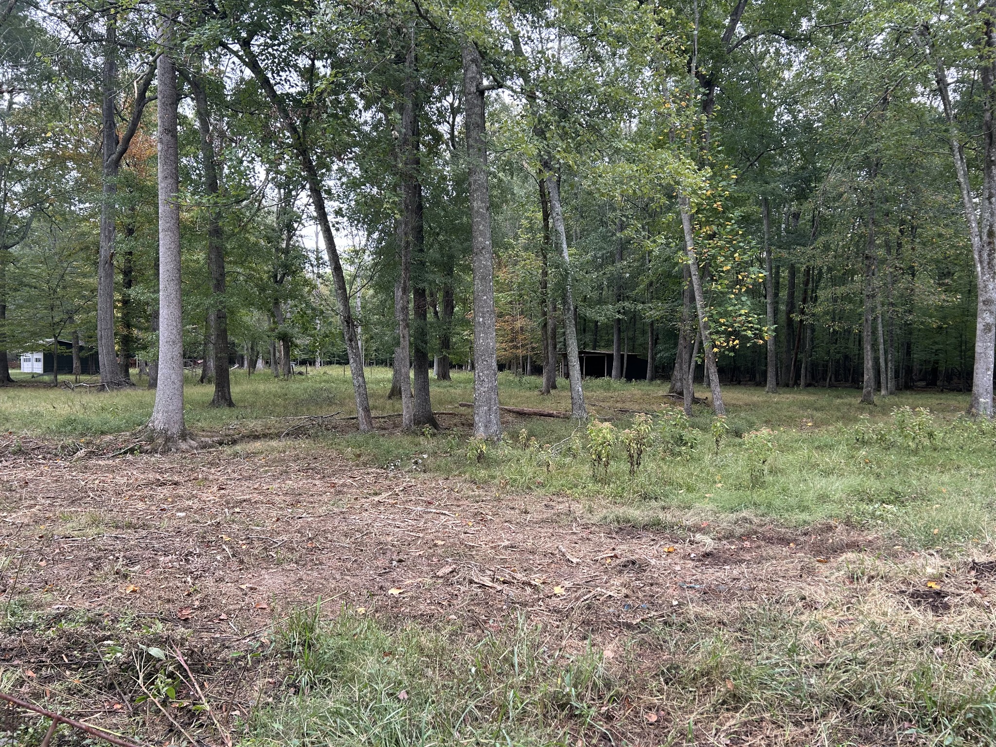0 Willow Oak Road Manchester, TN 37355 - Photo 13 of 15 Gallery Image 13