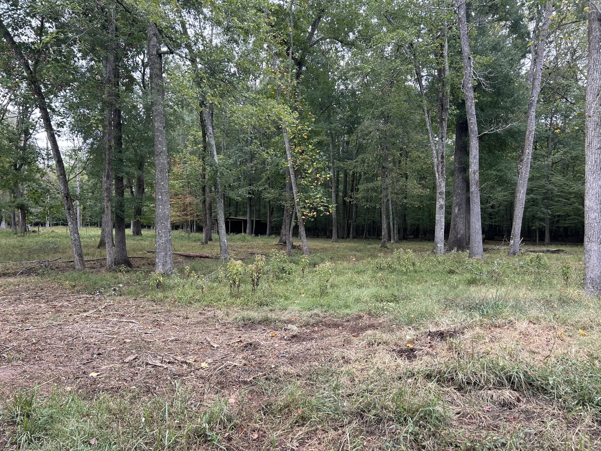 0 Willow Oak Road Manchester, TN 37355 - Photo 14 of 15 Gallery Image 14
