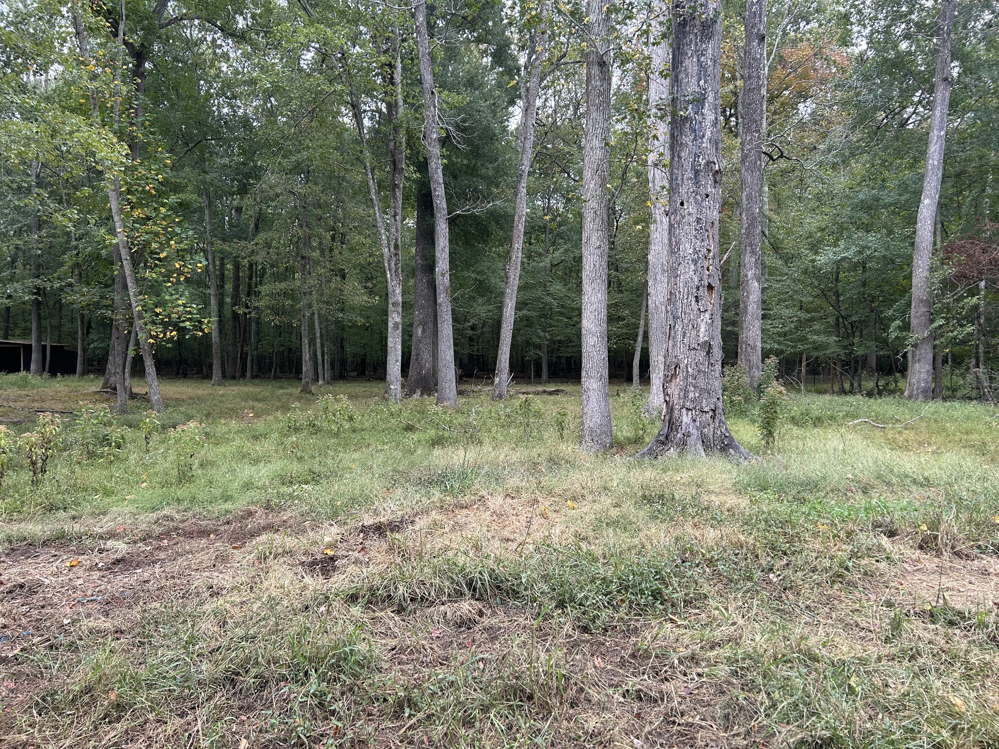 0 Willow Oak Road Manchester, TN 37355 - Photo 15 of 15 Gallery Image 15