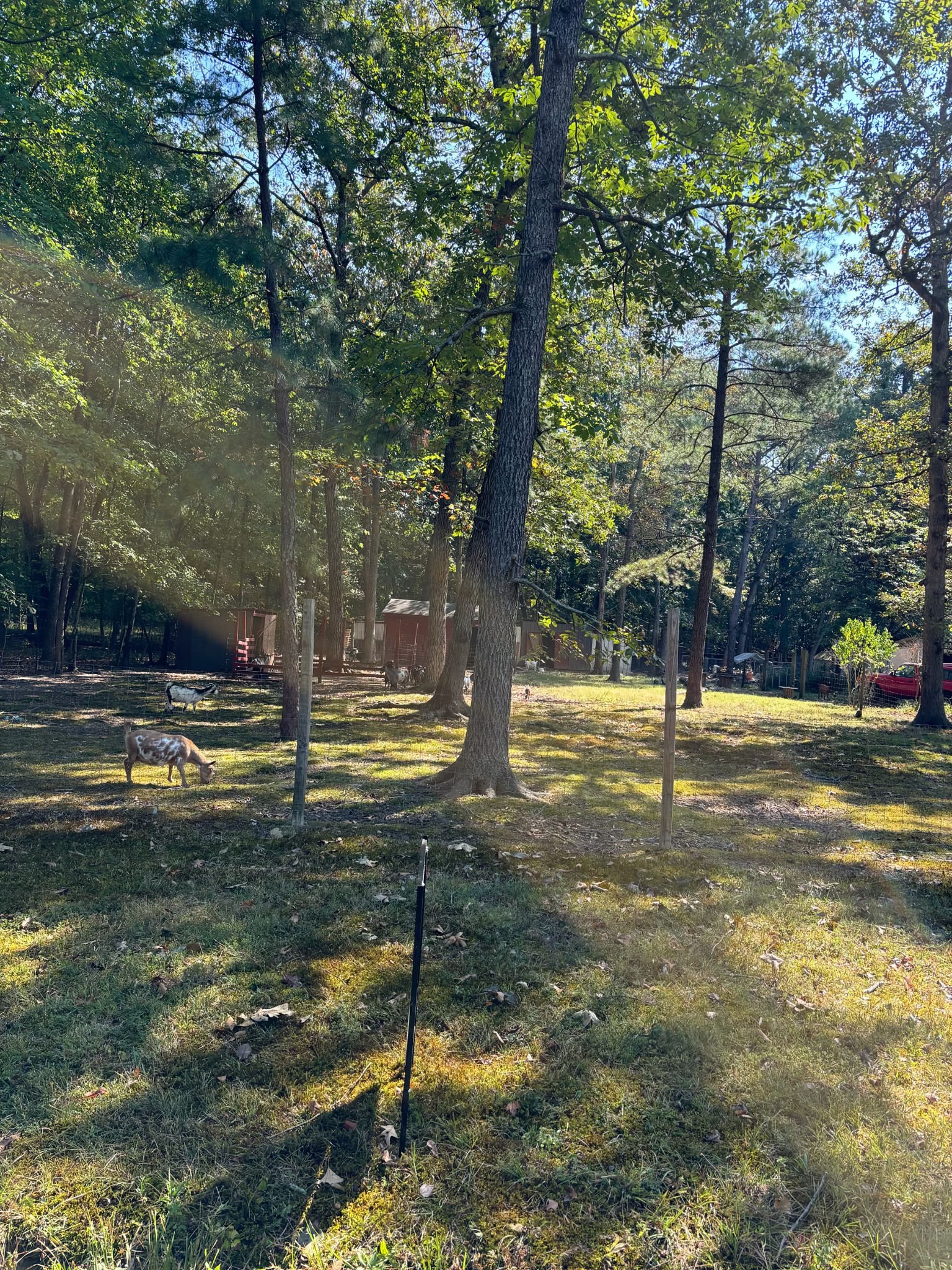 0 Willow Oak Road Manchester, TN 37355 - Photo 2 of 15 Gallery Image 2