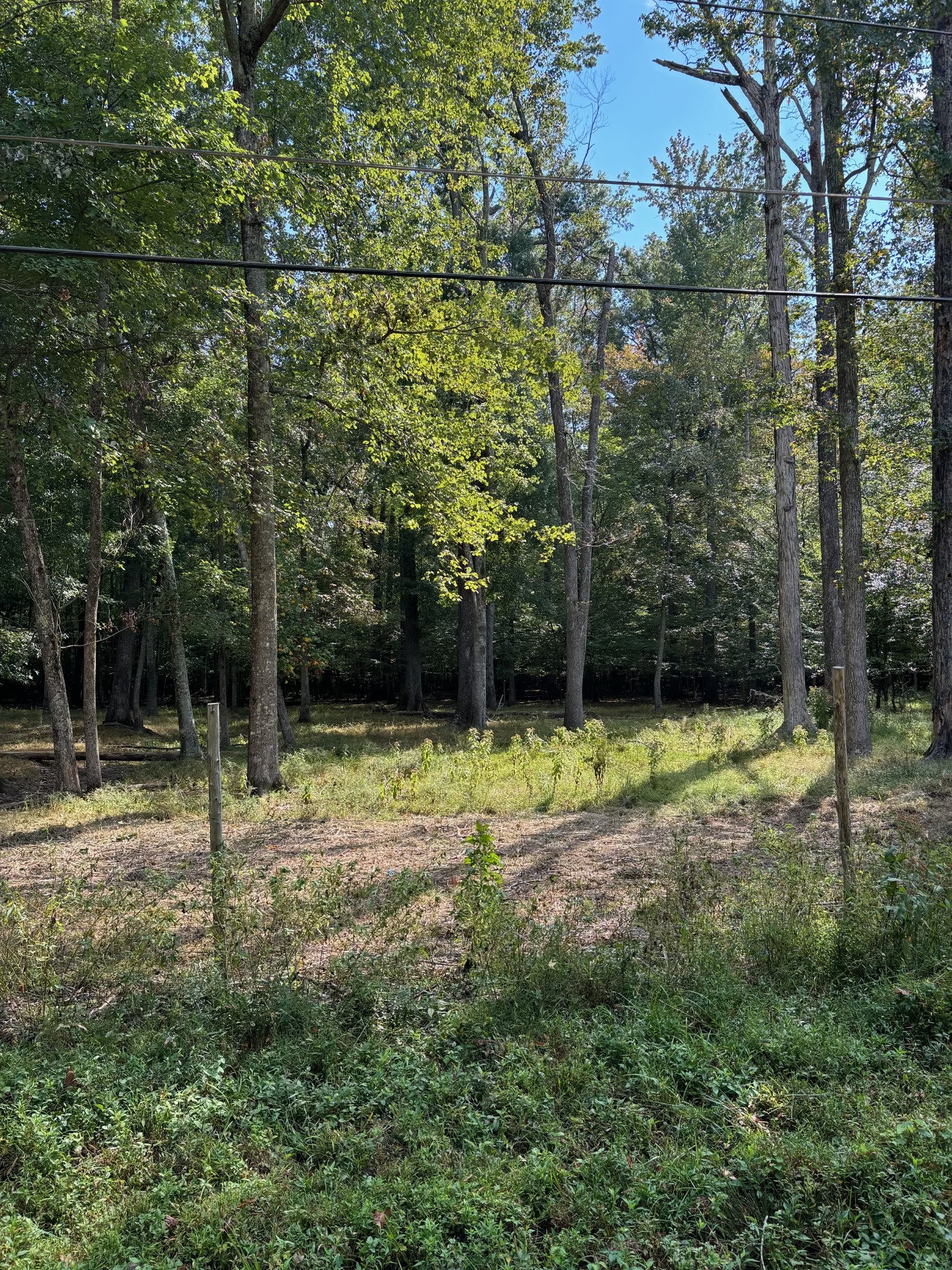 0 Willow Oak Road Manchester, TN 37355 - Photo 3 of 15 Gallery Image 3