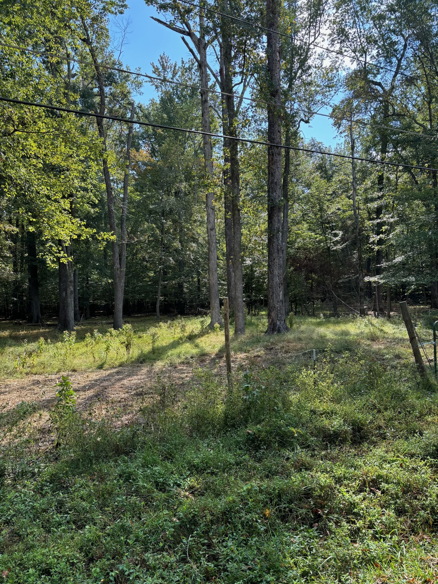 0 Willow Oak Road Manchester, TN 37355 - Photo 4 of 15 Gallery Image 4