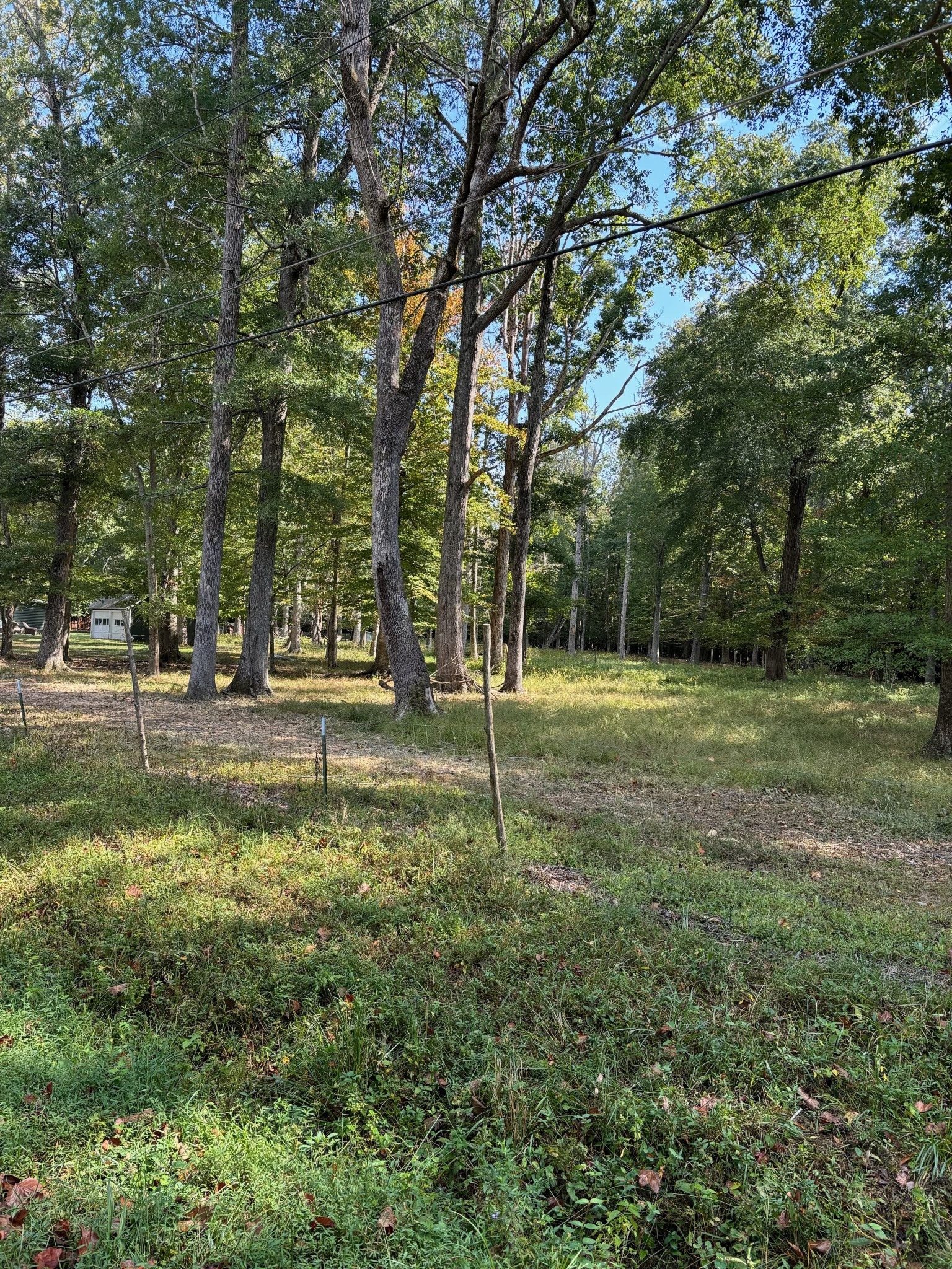 0 Willow Oak Road Manchester, TN 37355 - Photo 5 of 15 Gallery Image 5