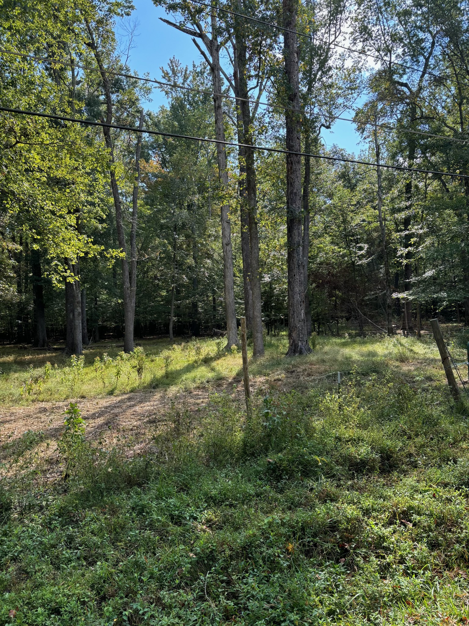 0 Willow Oak Road Manchester, TN 37355 - Photo 6 of 15 Gallery Image 6