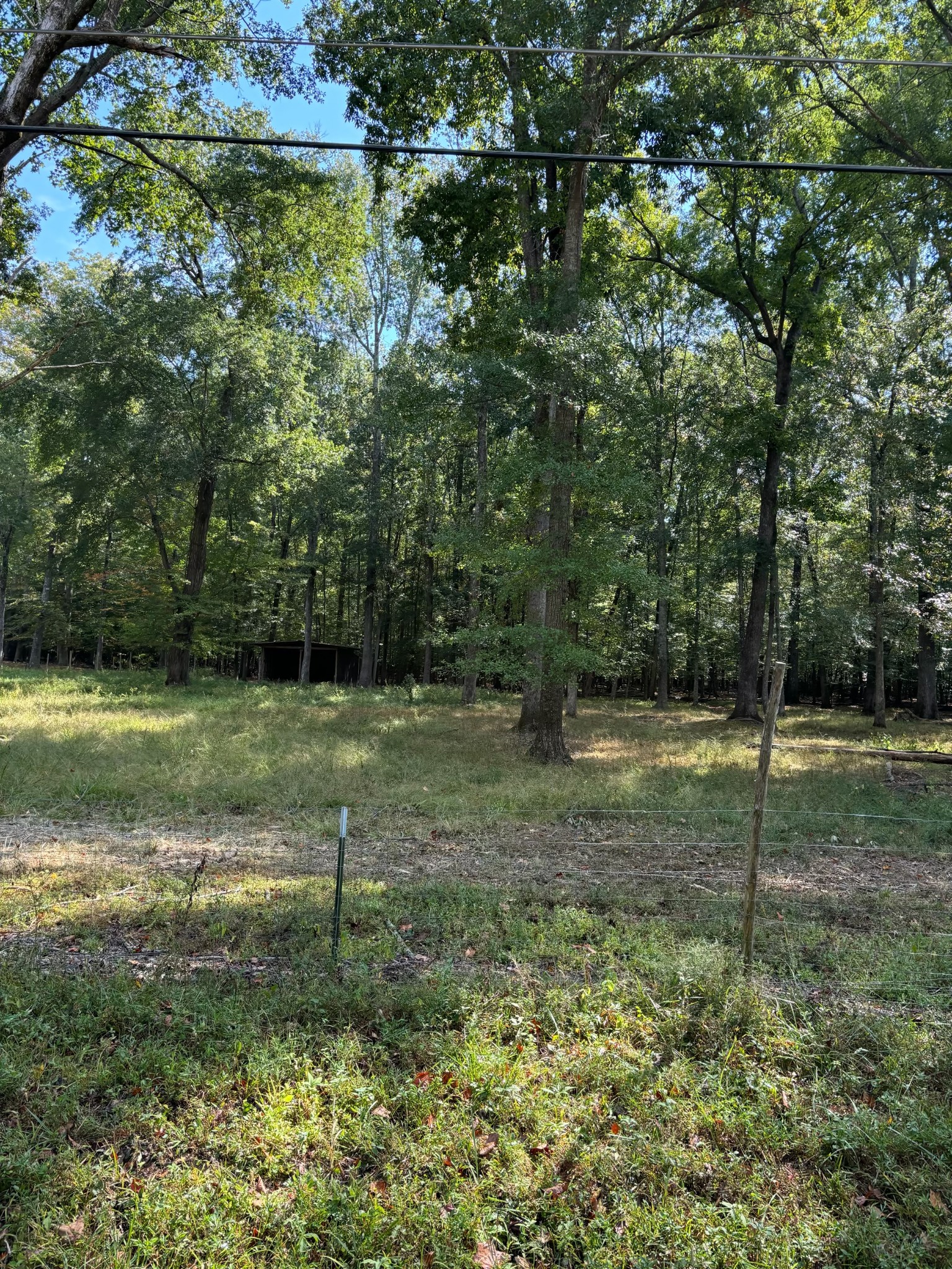 0 Willow Oak Road Manchester, TN 37355 - Photo 7 of 15 Gallery Image 7