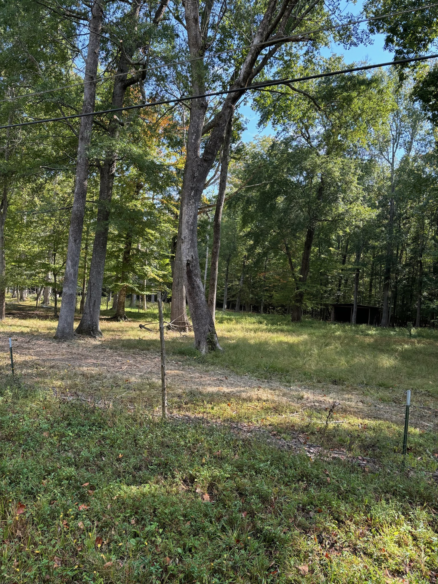 0 Willow Oak Road Manchester, TN 37355 - Photo 8 of 15 Gallery Image 8