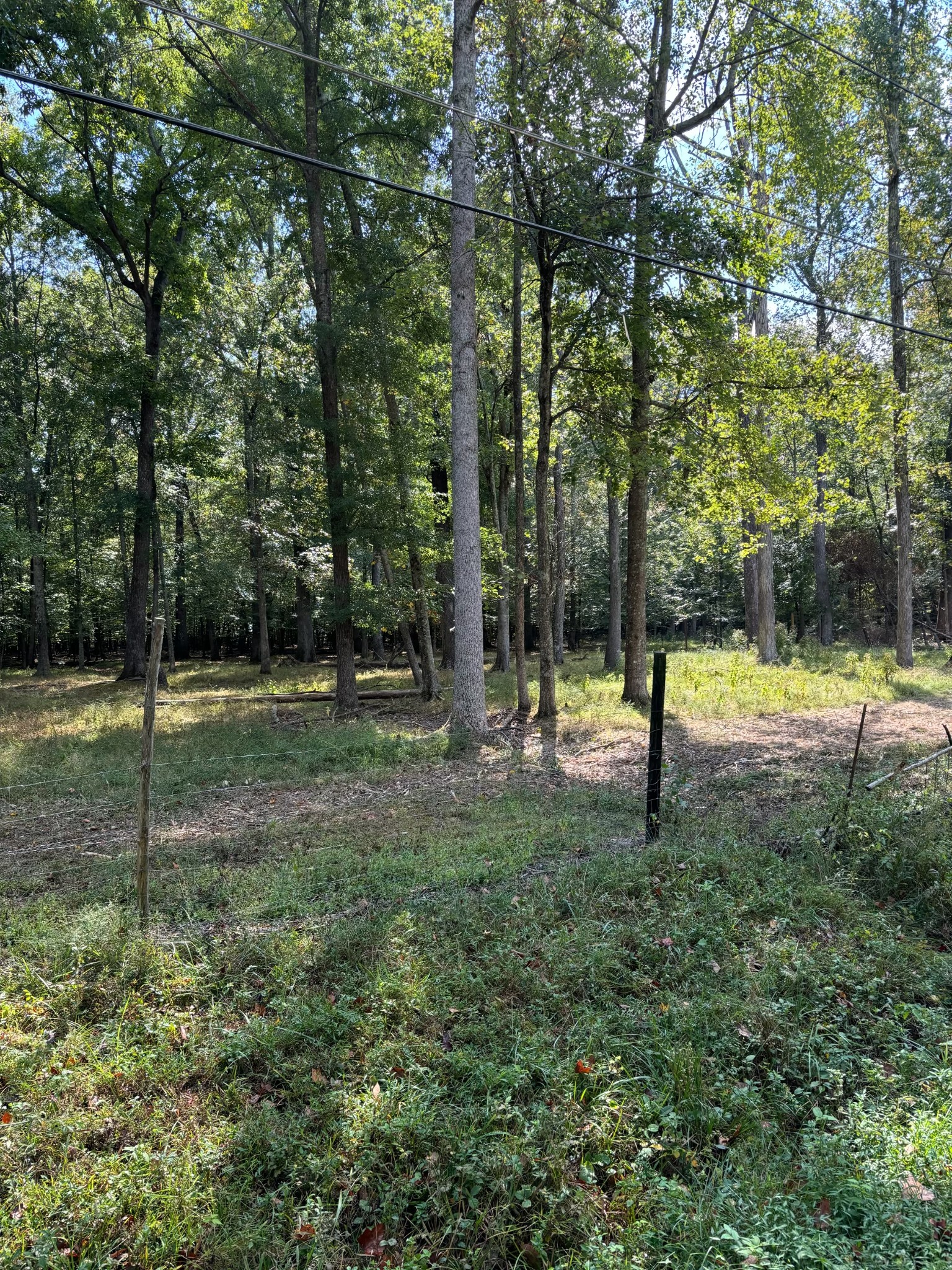 0 Willow Oak Road Manchester, TN 37355 - Photo 9 of 15 Gallery Image 9