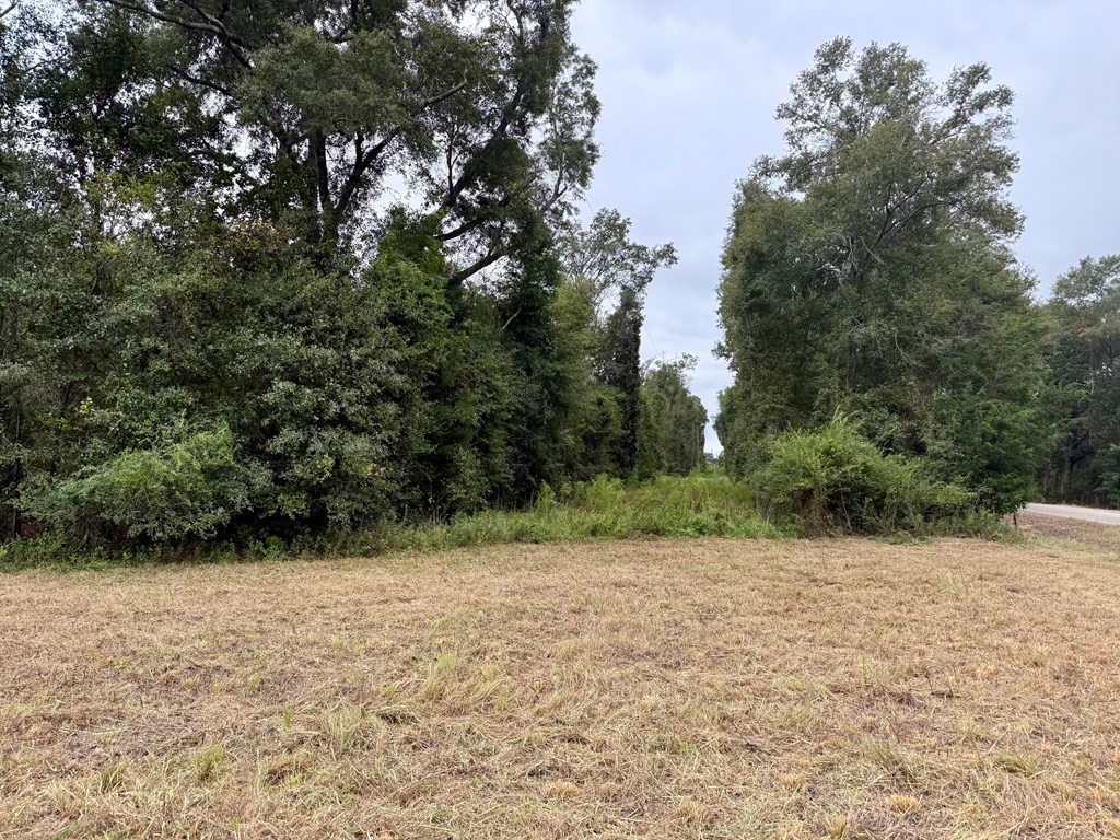 24-acres Mt Zion Road Gordon, AL 36343 - Photo 8 of 13