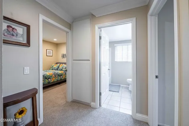 a view of a backyard with potted plants and a large tree