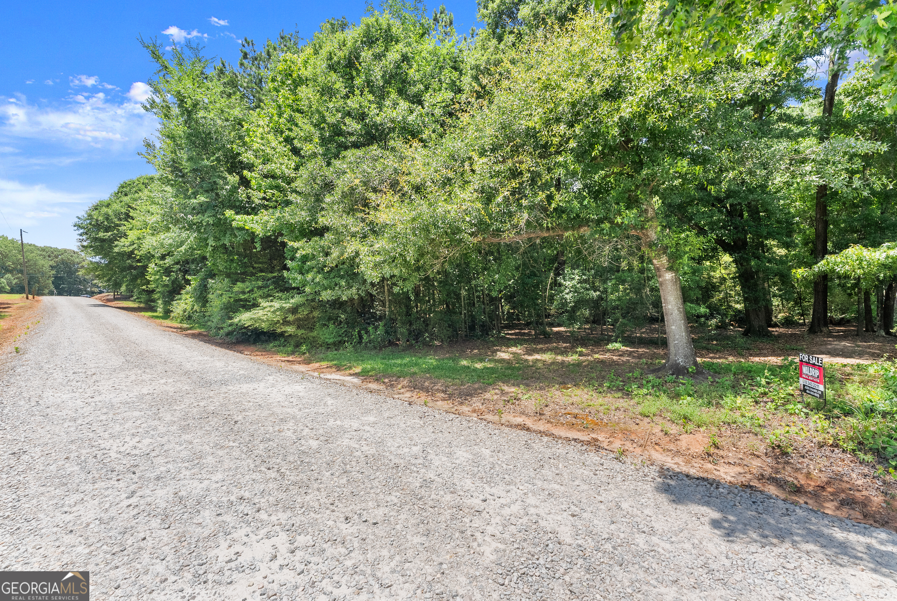 0 Mountain Creek Church Road Talmo, GA 30567 - Photo 8 of 25