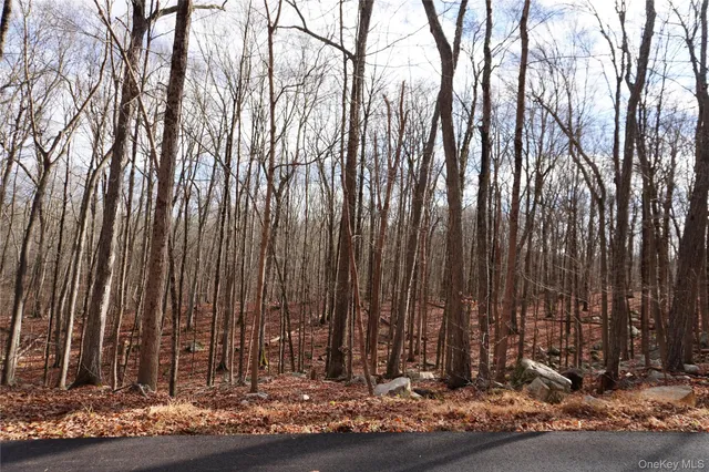 a view of outdoor space with deck