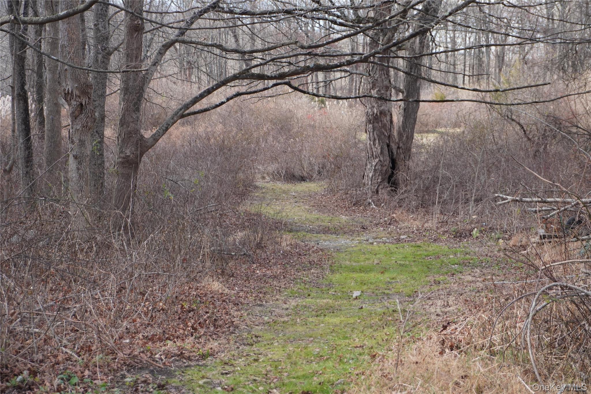 Route 301 Rt-301 Carmel, NY 10512 - Photo 3 of 5 a backyard of a house with lots of green space