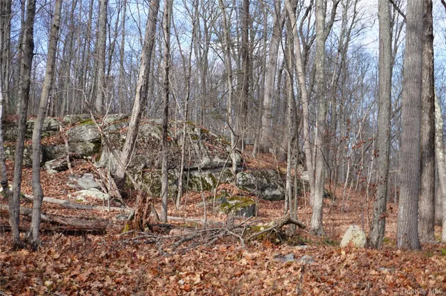 a view of a yard with lots of plants and trees
