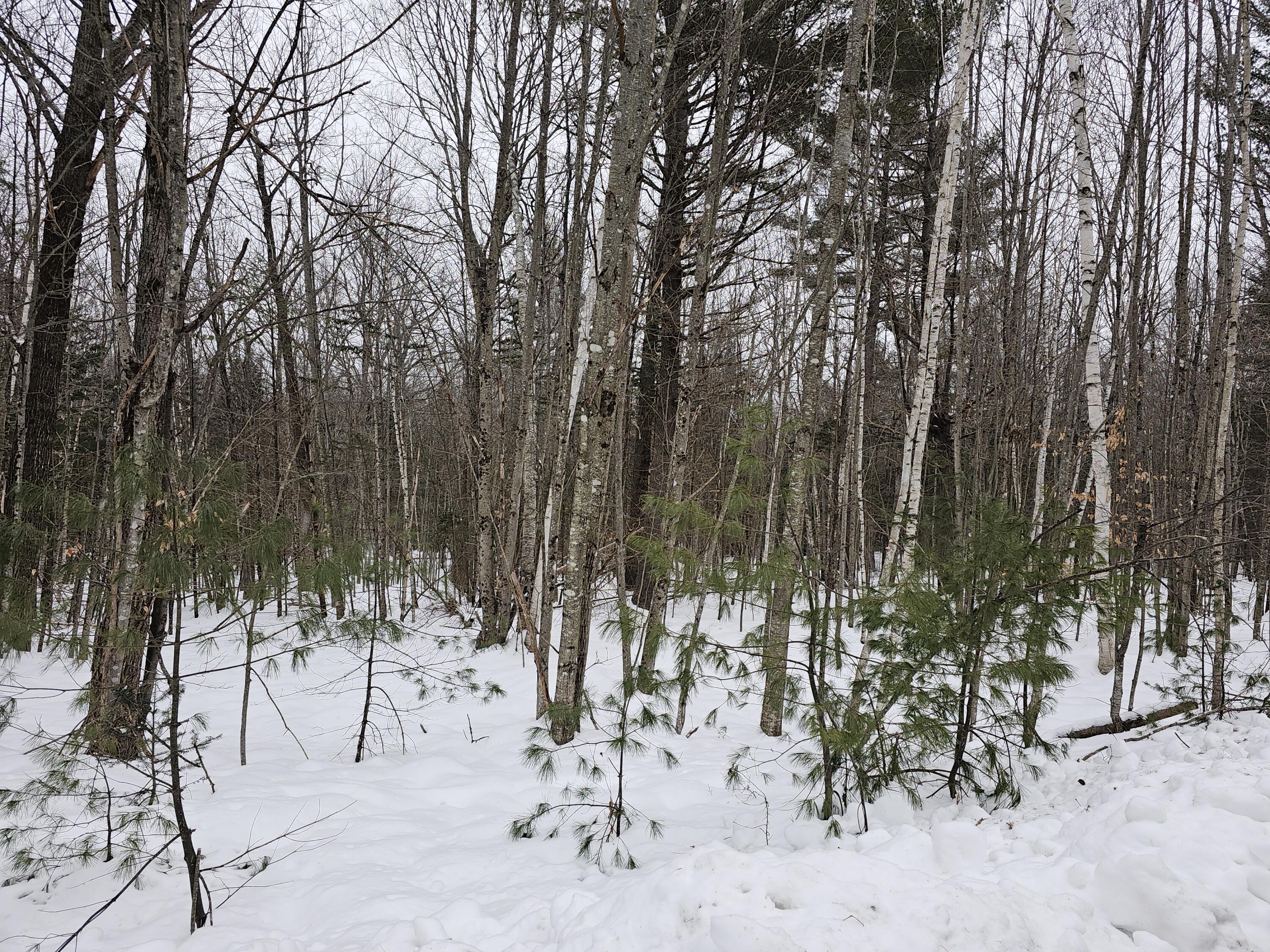 Tbd Lot 22 Tbd Road Norway, ME 04268 - Photo 2 of 5 20240116_111144