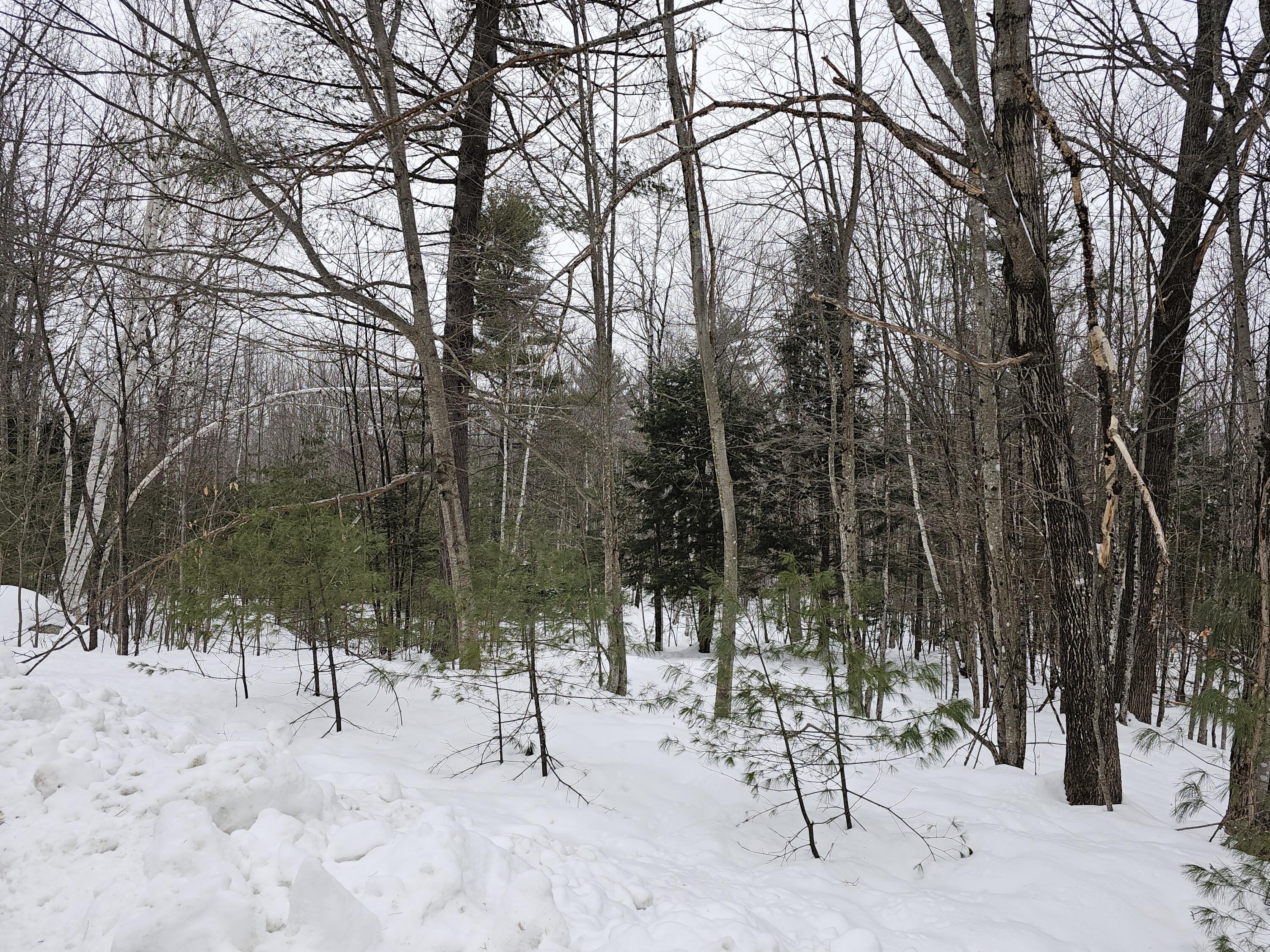 Tbd Lot 22 Tbd Road Norway, ME 04268 - Photo 3 of 5 20240116_111148