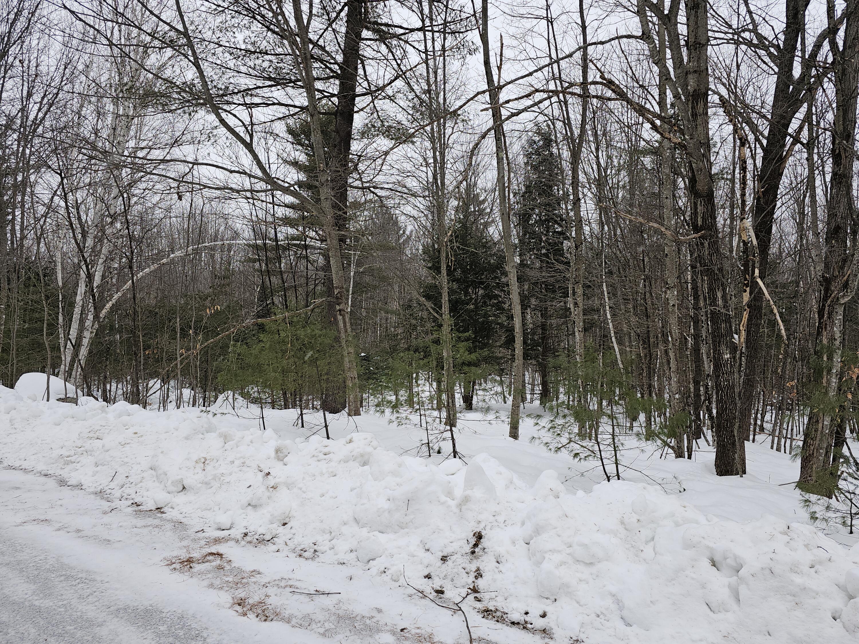 Tbd Lot 22 Tbd Road Norway, ME 04268 - Photo 4 of 5 20240116_111154