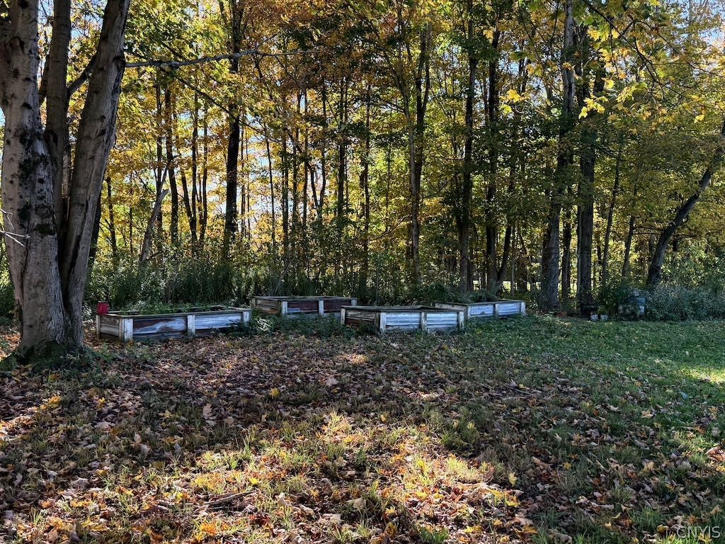 392 Albion Cross Road Pulaski, NY 13142 - Photo 43 of 45 Gallery Image 43