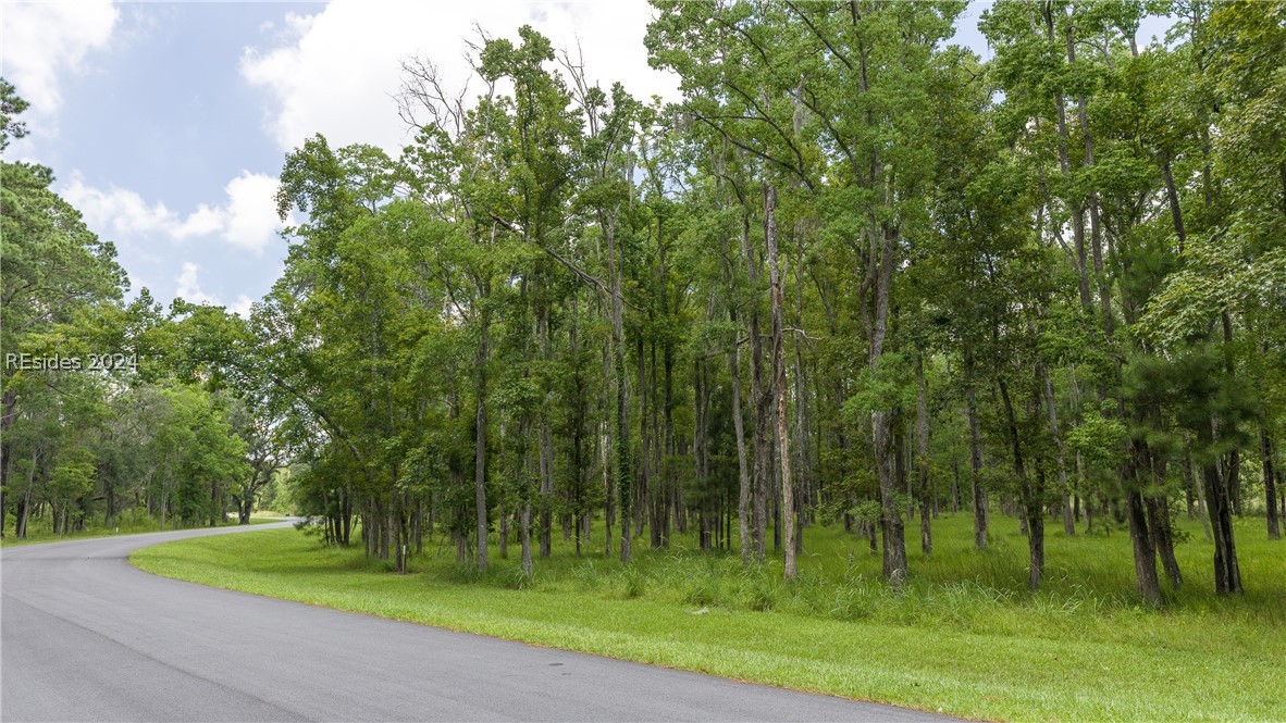 859 Bridle Path Boulevard Hardeeville, SC 29927 - Photo 14 of 40 View of Lot 27 -- 859 Bridle Path Blvd from the road.