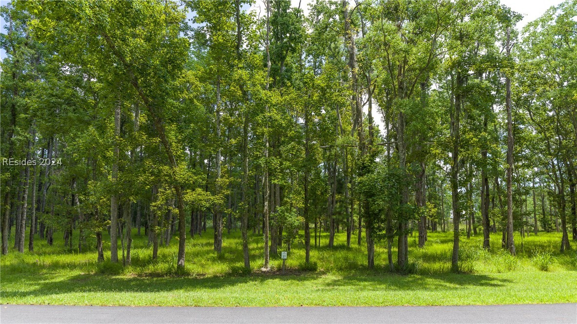 859 Bridle Path Boulevard Hardeeville, SC 29927 - Photo 15 of 40 View of Lot 27 from the road -- 859 Bridle Path Blvd.
