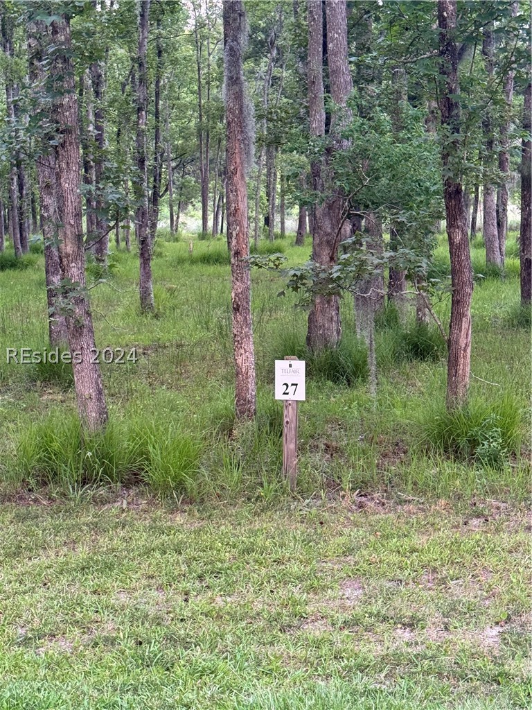 859 Bridle Path Boulevard Hardeeville, SC 29927 - Photo 40 of 40 View of local wilderness