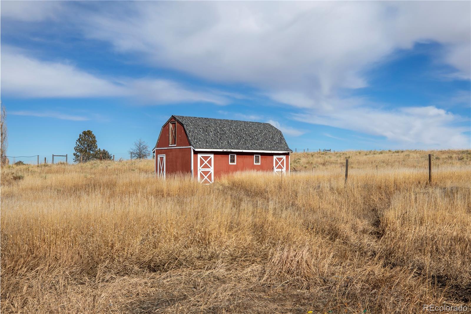 12156 Tomahawk Road Parker, CO 80138 - Photo 11 of 16 Gallery Image 11