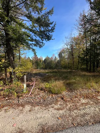 $410,000 | Lot 4 Hancock Pond Road, Sebago, ME 04029