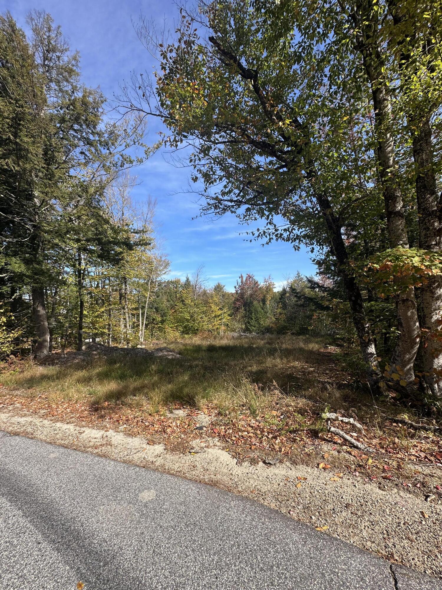 Lot 4 Hancock Pond Road Sebago, ME 04029 - Photo 2 of 6 IMG_1794
