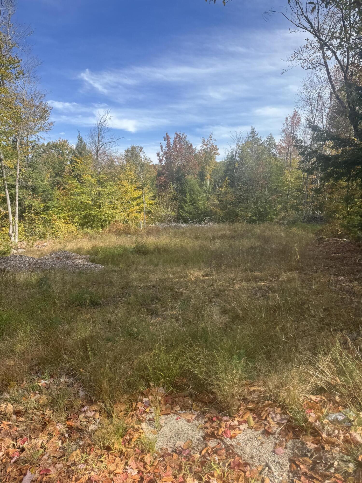 Lot 4 Hancock Pond Road Sebago, ME 04029 - Photo 3 of 6 IMG_5611